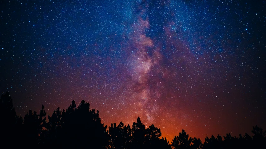 a po of a night sky with trees