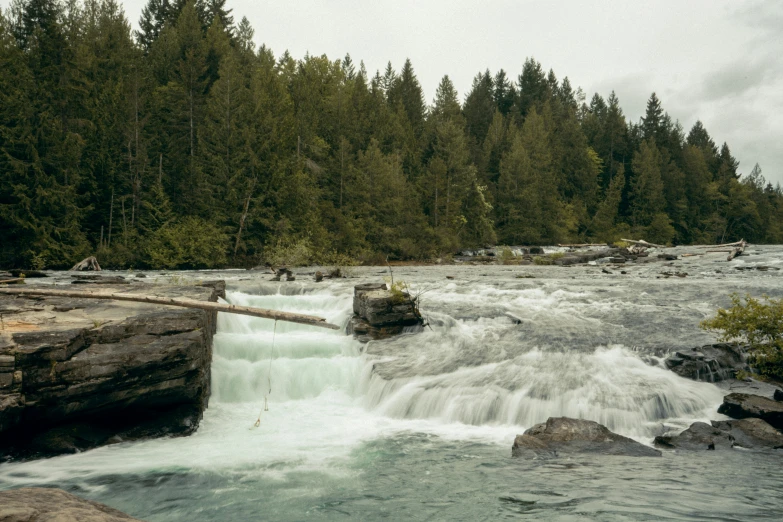 a small waterfall is flowing through a forest