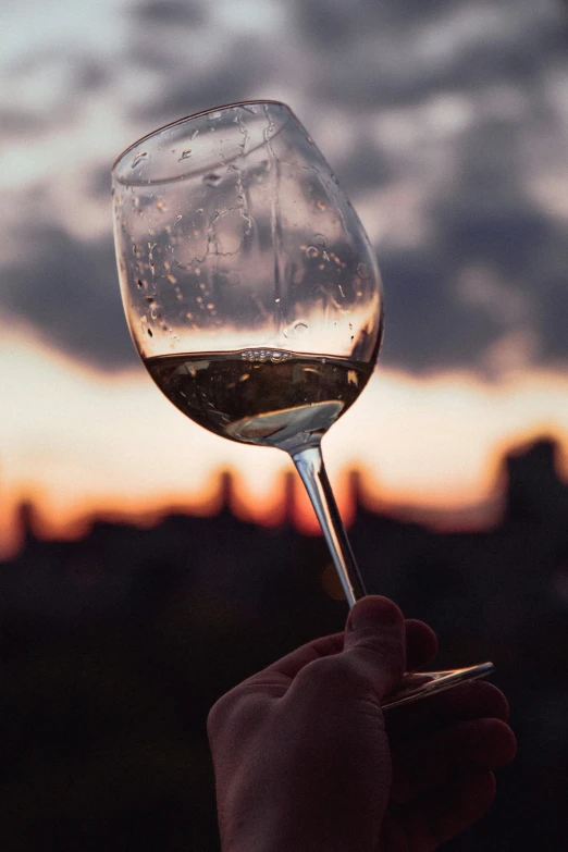 person holding a wine glass with liquid in it at sunset