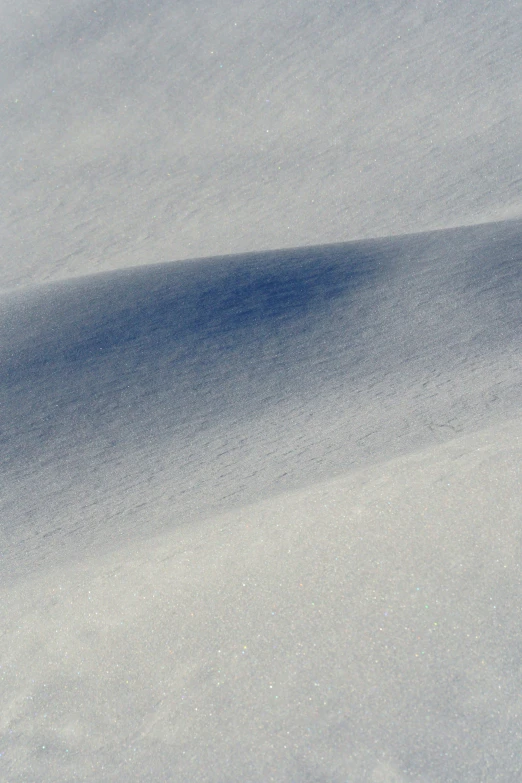 a lone snowbird is standing on the top of the hill