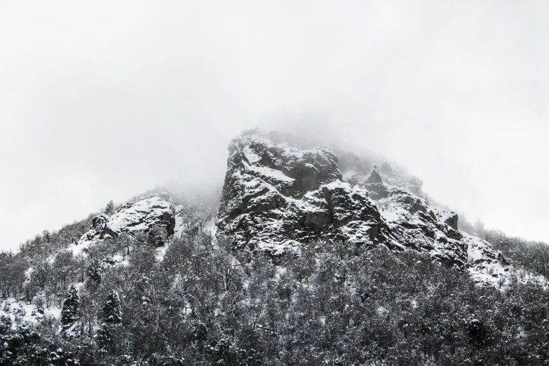 a mountain covered in snow and surrounded by trees