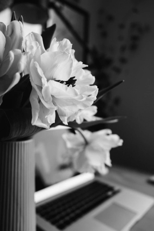 flowers in a vase sit in front of a laptop