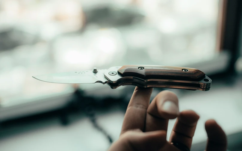 a person holding a very tiny knife in their hand