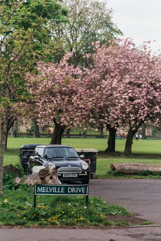 a small vehicle parked under the pink blossoms on a tree