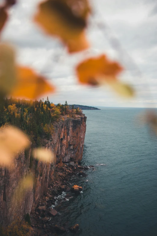 autumn leaves line the edge of cliffs that overlook a lake and trees