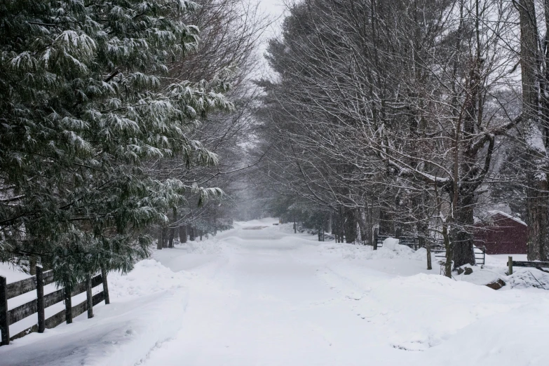 a snowy road surrounded by trees with a red barn in the background