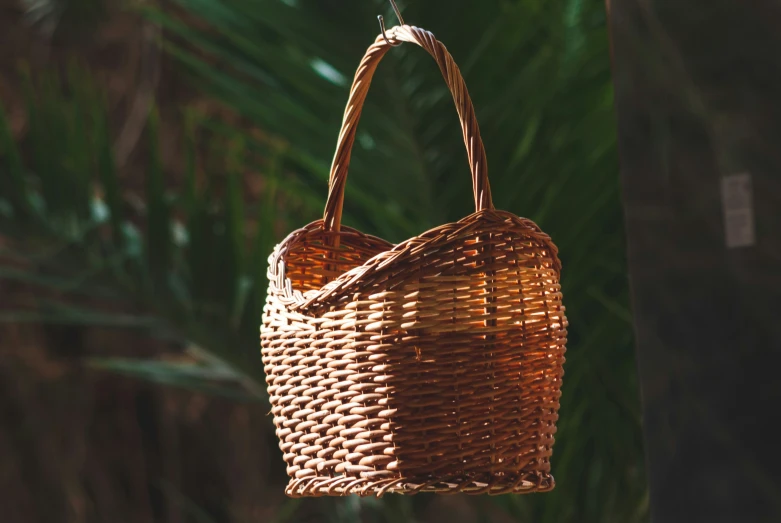 a brown wicker bag hanging on a palm tree