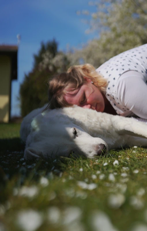 a woman holding onto a large dog on grass