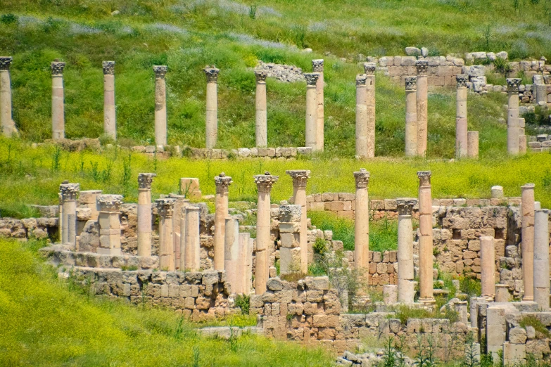 a po of ancient ruins sitting in the grass