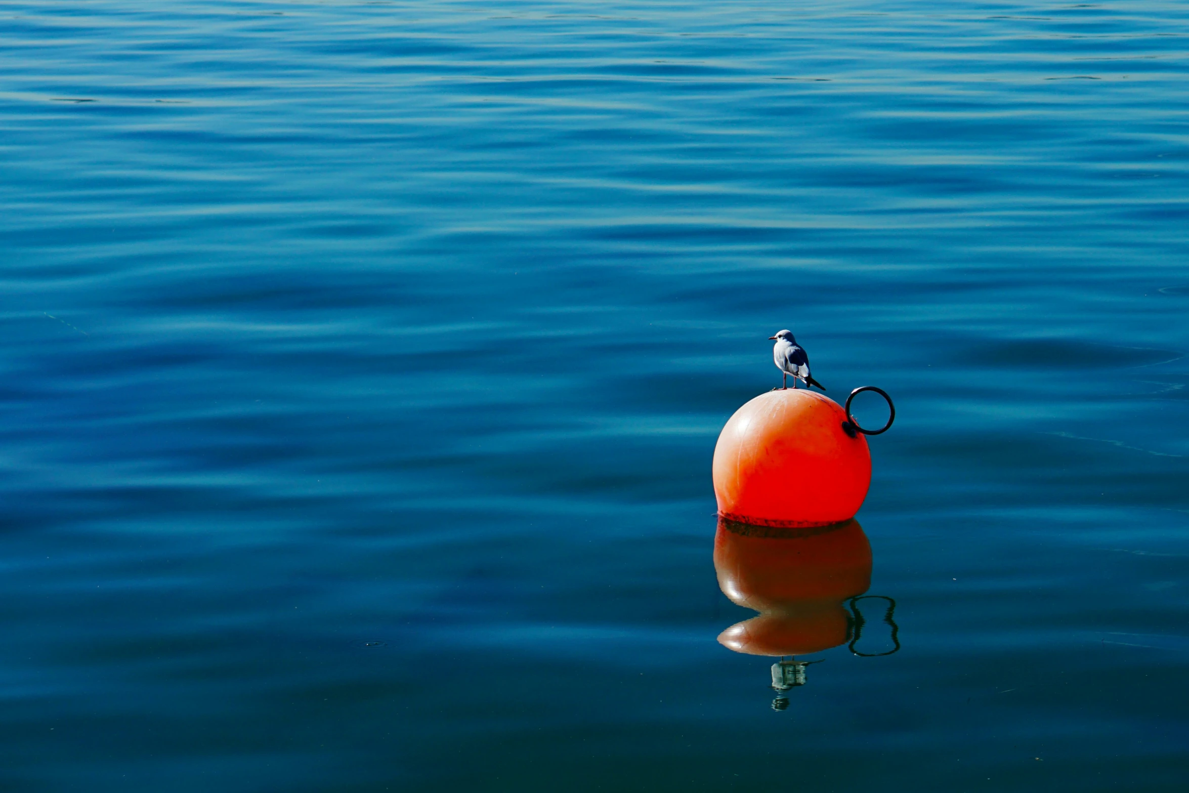 an orange buoy floating in the water on a lake