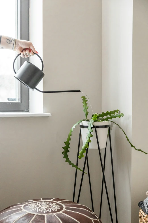 a plant sits in a vase next to a window