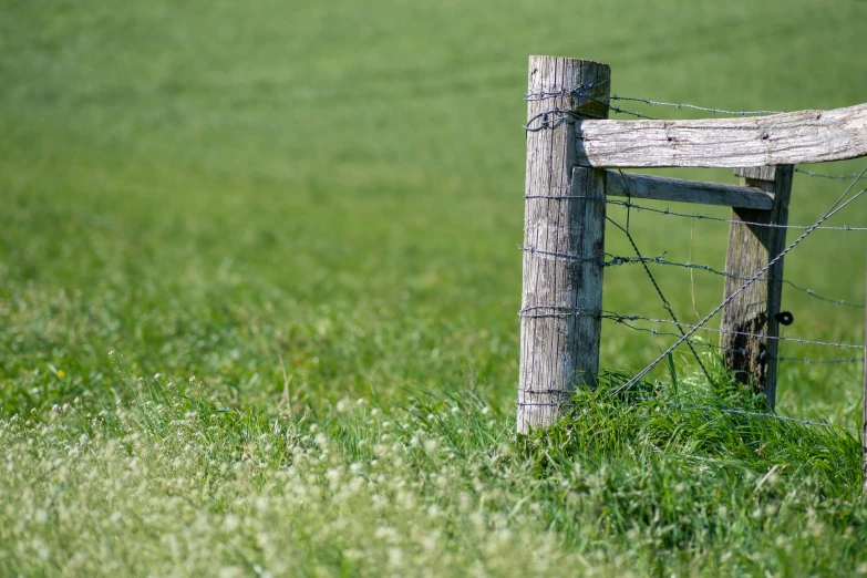 a fence is in front of a grassy field