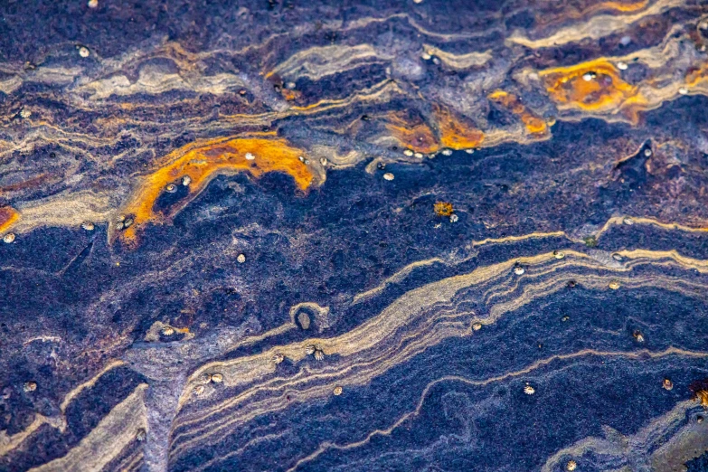 the surface of a rock with water and other things