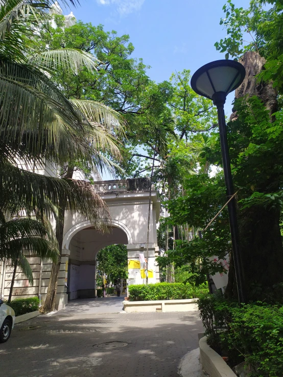 a building in a city street has a lot of trees