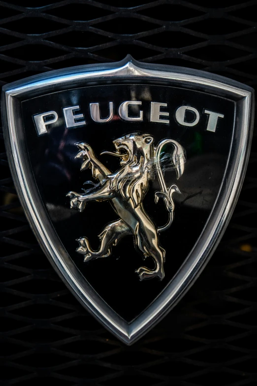 the emblem on the front of a car