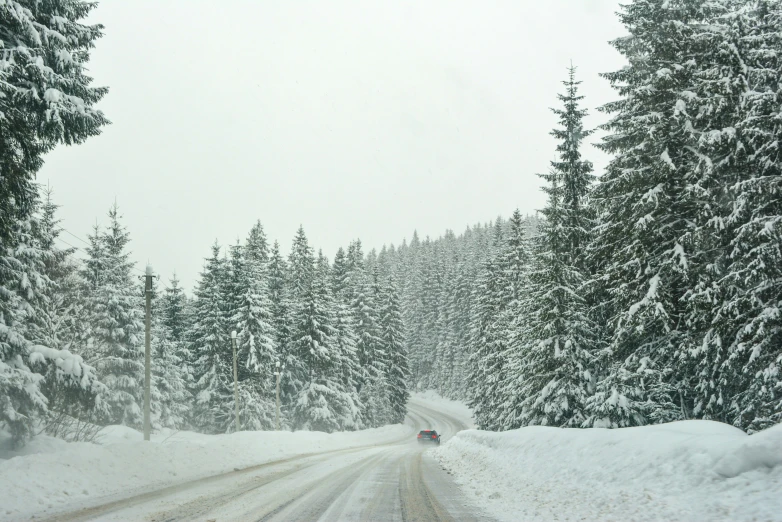 a truck is traveling down a road by some trees