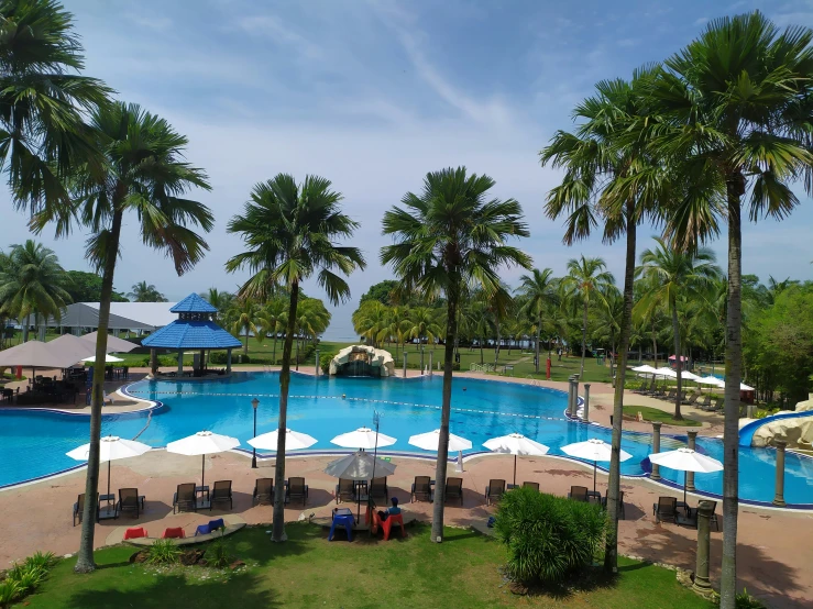 a large pool surrounded by palm trees in the yard