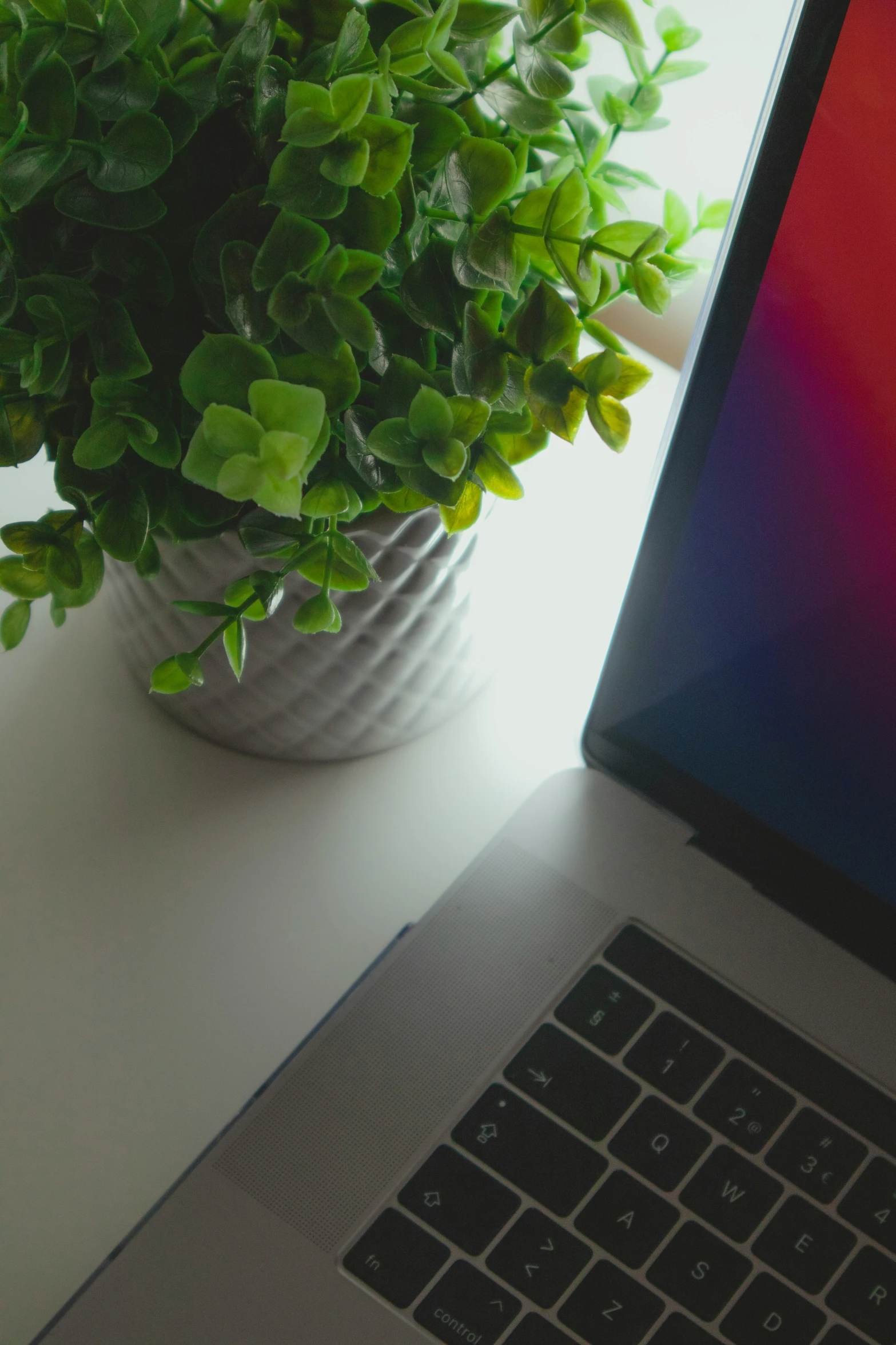 a potted plant is placed next to an open laptop computer