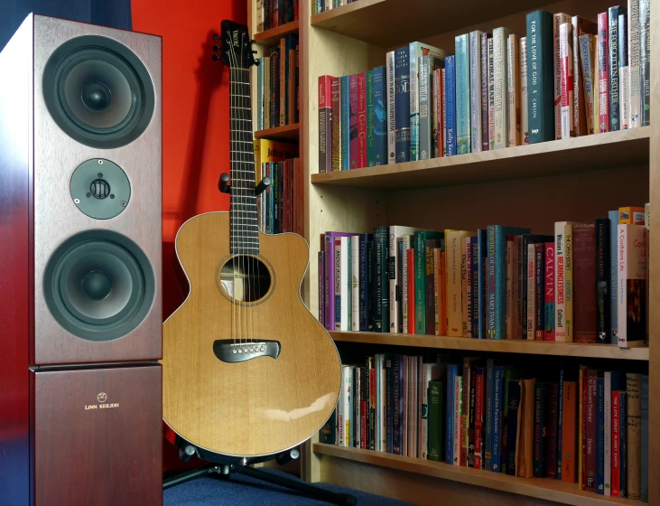 an acoustic guitar and bookshelves in a home