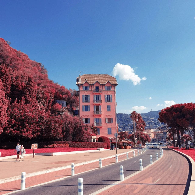 a long stretch of empty street with red trees