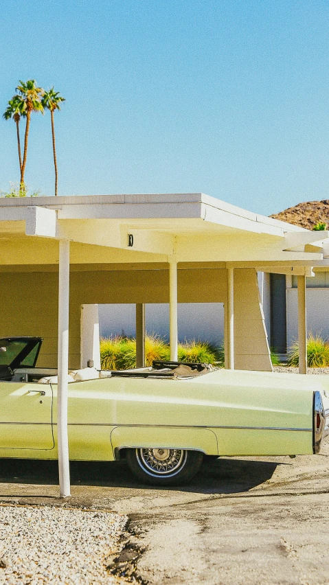 a car parked in front of a building with a palm tree