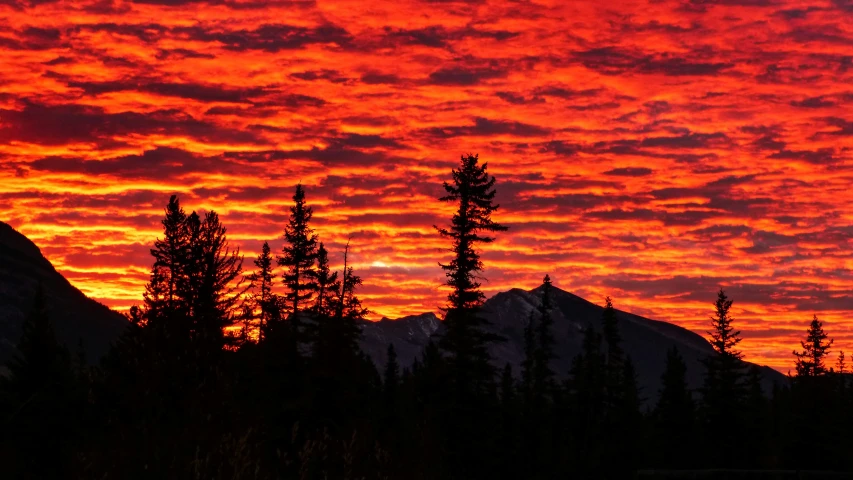 a red sunset with the sun peeking out the clouds and silhouetted trees