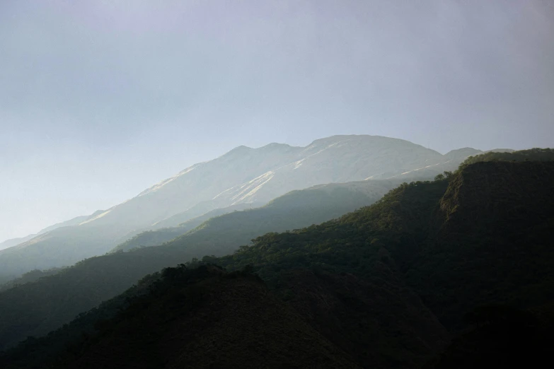 snow is capped mountains with trees in the foreground