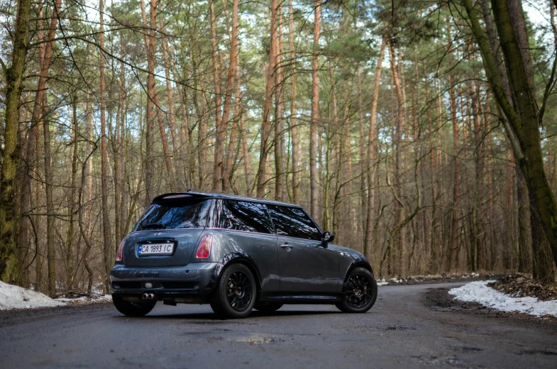 a silver minivan is driving in a forest