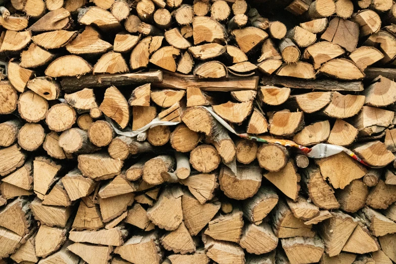 this is a pile of wood that is stacked high