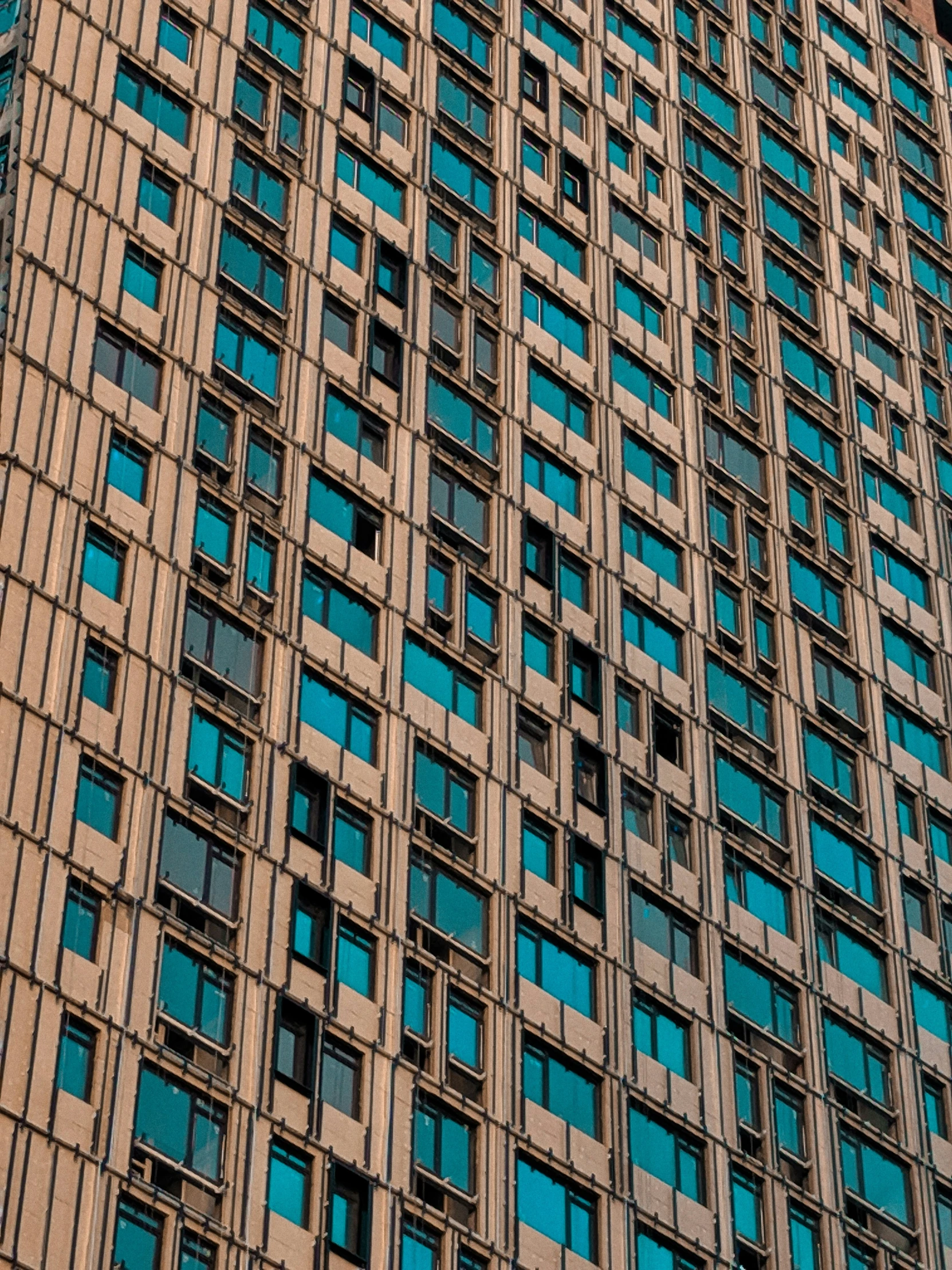 the top of an old building with a lot of windows and some birds on it