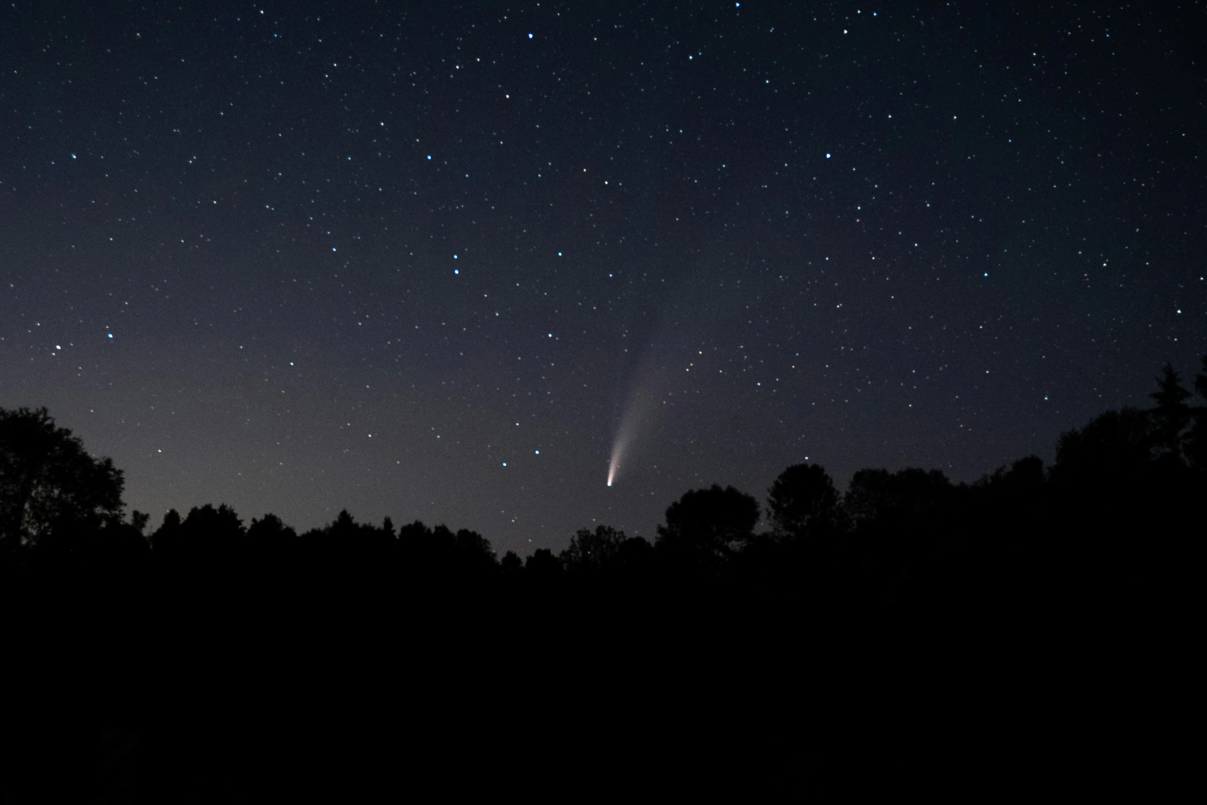 the night sky shows very bright lights above some trees