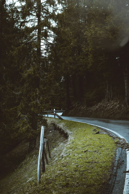 the dark landscape shows a country road and forest