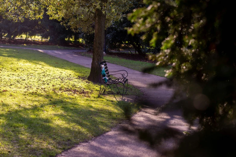 a woman sits on a park bench underneath a tree