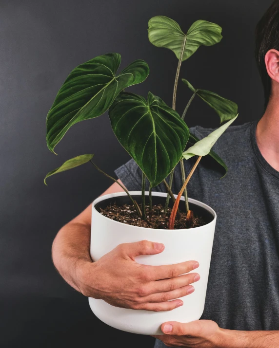 a man holding a potted plant inside