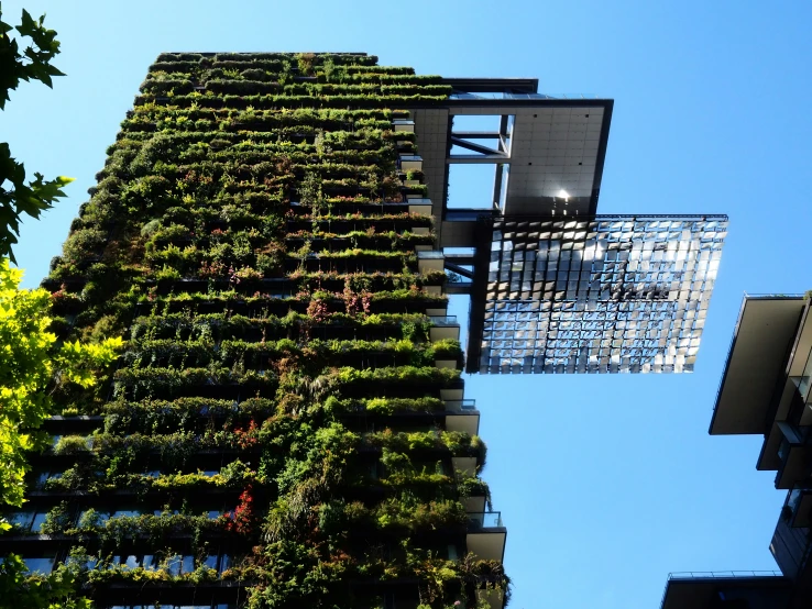 the outside of a building that looks like it has green plants