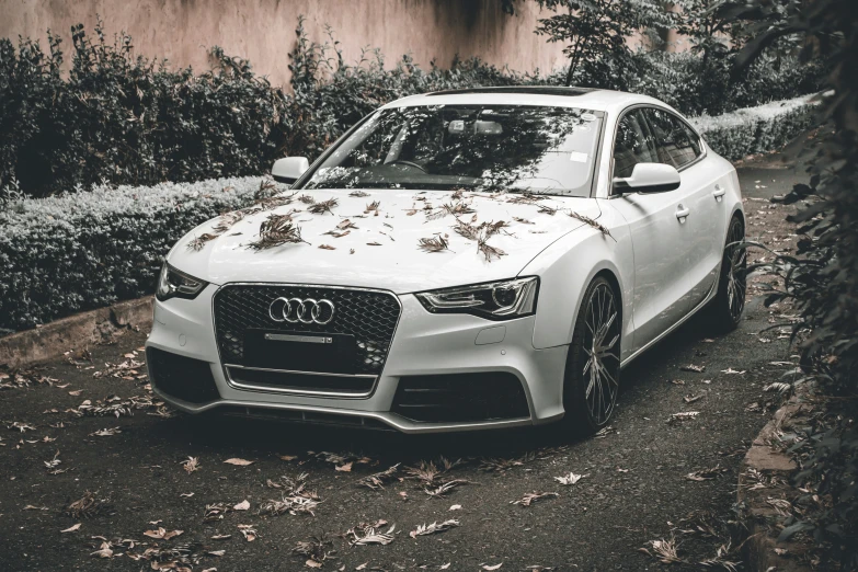 an all white car covered in dead leaves and twigs