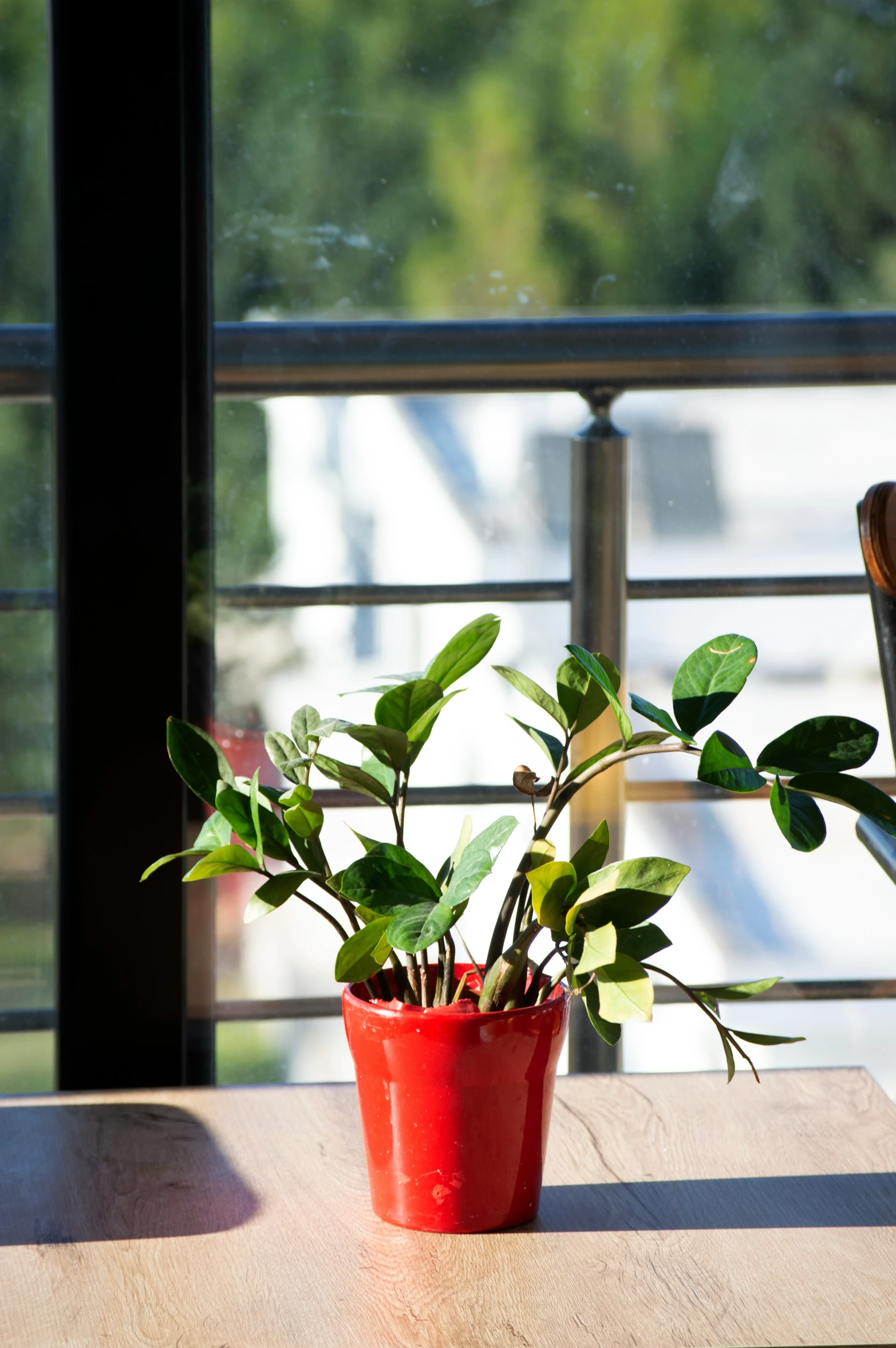 a potted plant sitting on top of a wooden table