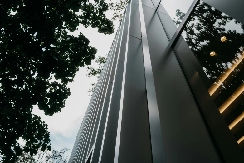 tall buildings with some green trees near by