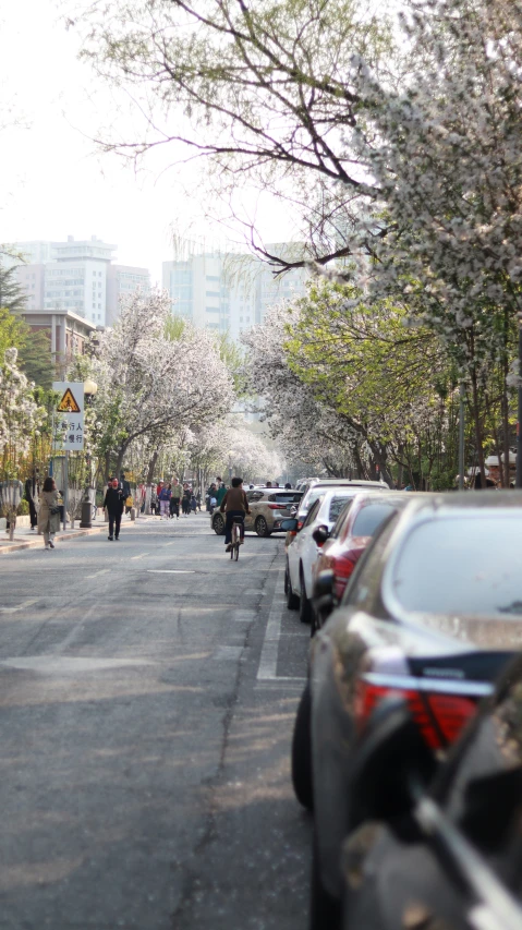 street with cars parked on both sides and pedestrians on bicycles walking on the side