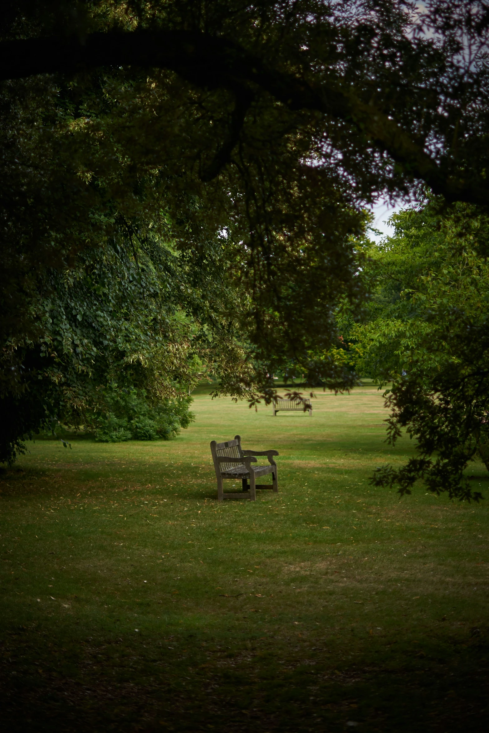 a park with a few wooden benches in it