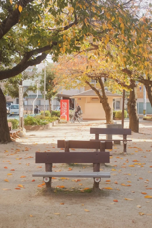 three benches in an open area surrounded by trees