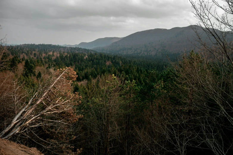 a view of mountains and trees on the other side