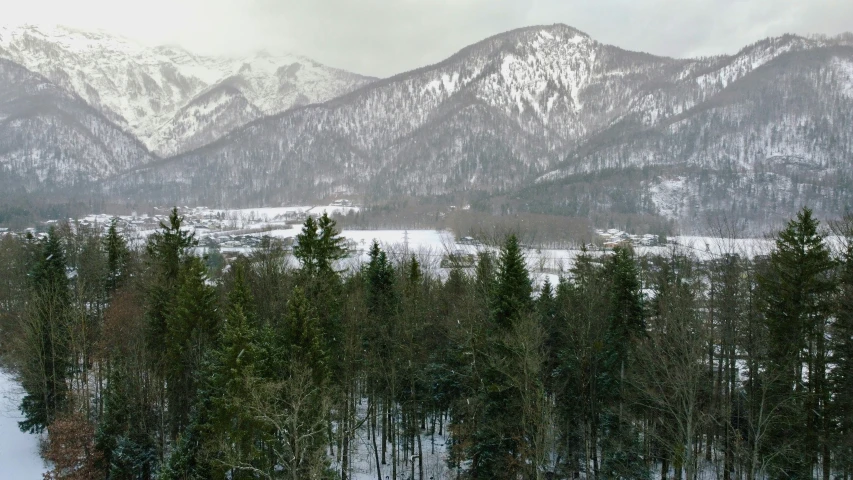 a po of snowy mountains with trees and snow