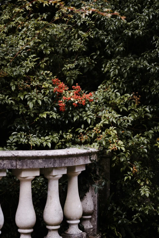 a white fence and some bushes and trees