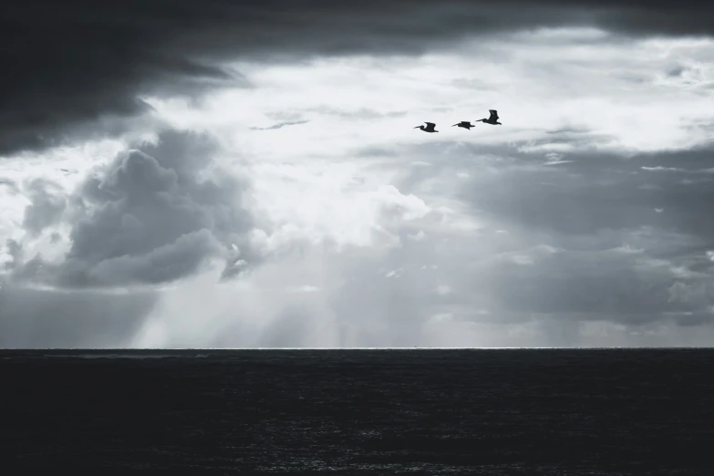 birds fly above the ocean under a stormy sky