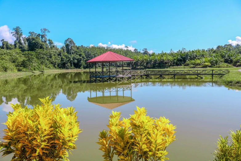 small wooden dock near a grassy lake area