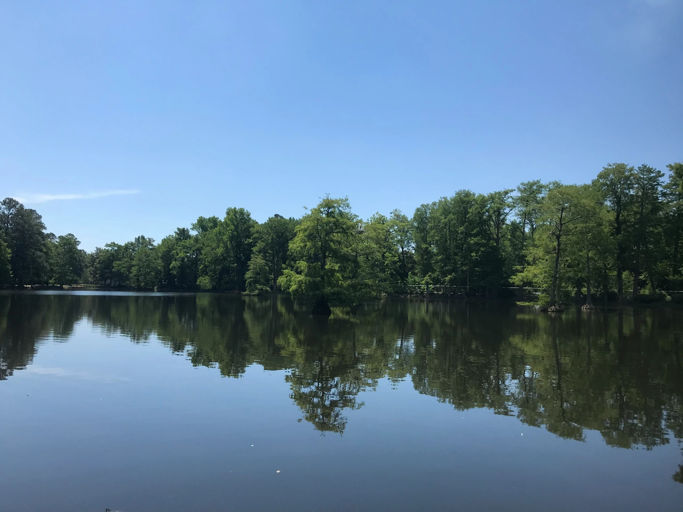 a river that is surrounded by trees and water