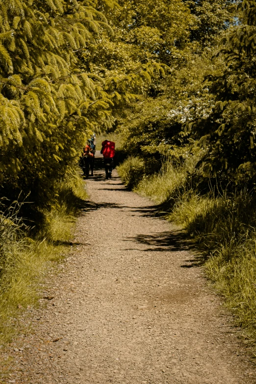 some people riding a bike down a dirt road