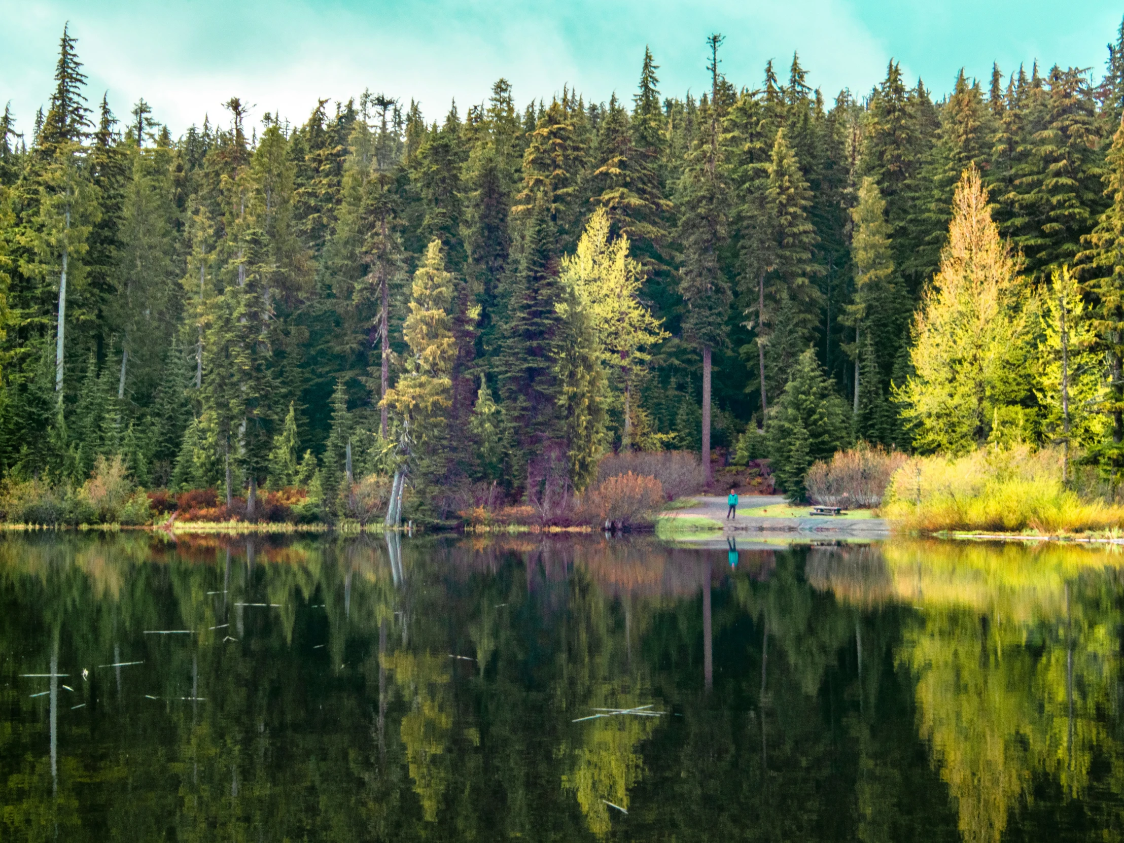 an image of a lake in the woods