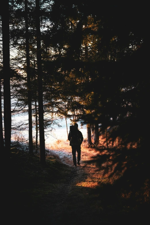 a man walking down a pathway into the dark woods